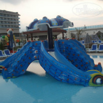 фото из отзыва ID 991862