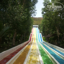 фото из отзыва ID 991866