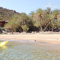 фото из отзыва ID 991935