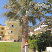 фото из отзыва ID 991935