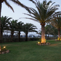 фото из отзыва ID 992228