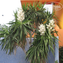 фото из отзыва ID 992243