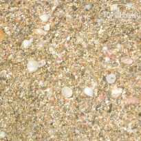 фото из отзыва ID 992268
