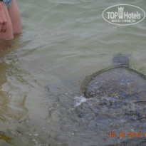 фото из отзыва ID 992470