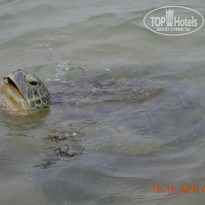 фото из отзыва ID 992470