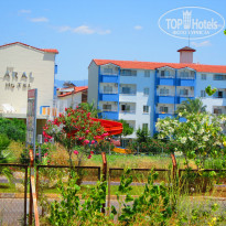 фото из отзыва ID 992309