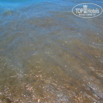 фото из отзыва ID 992309