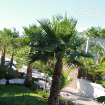 фото из отзыва ID 992575