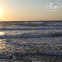 фото из отзыва ID 992575