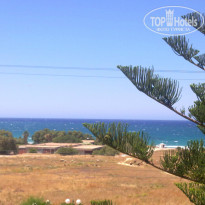 фото из отзыва ID 992649