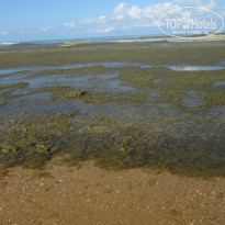 фото из отзыва ID 992788