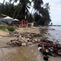 фото из отзыва ID 992869