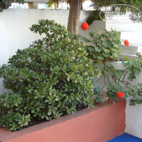 фото из отзыва ID 992961