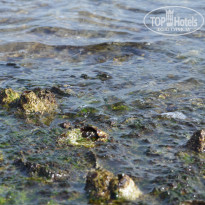 фото из отзыва ID 992353