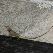 фото из отзыва ID 993369