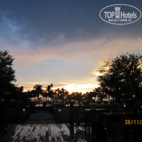 фото из отзыва ID 993369