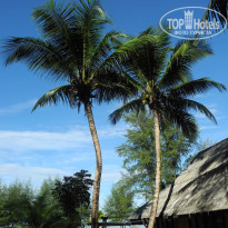 фото из отзыва ID 993369