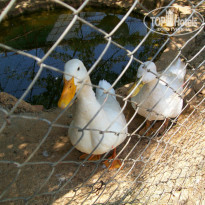 фото из отзыва ID 993579