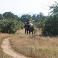 фото из отзыва ID 993608