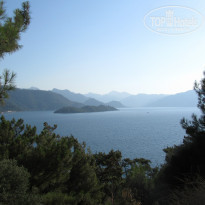 фото из отзыва ID 993733