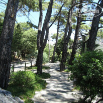 фото из отзыва ID 993733