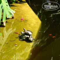 фото из отзыва ID 993893