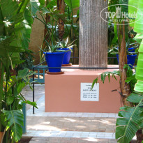 фото из отзыва ID 993893