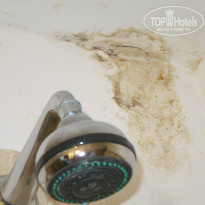 фото из отзыва ID 993902