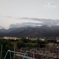 фото из отзыва ID 993999