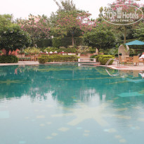 фото из отзыва ID 993175