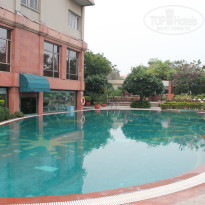 фото из отзыва ID 993175