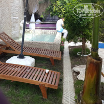 фото из отзыва ID 994052