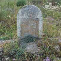 фото из отзыва ID 994149