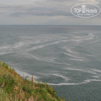 фото из отзыва ID 994149