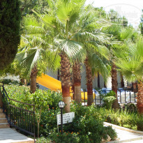 фото из отзыва ID 994183