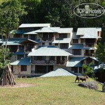 фото из отзыва ID 994350