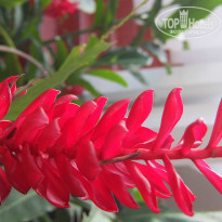фото из отзыва ID 994454
