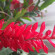 фото из отзыва ID 994454