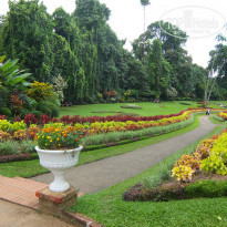 фото из отзыва ID 994454