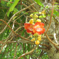 фото из отзыва ID 994454