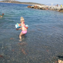 фото из отзыва ID 994517