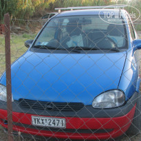 фото из отзыва ID 994558