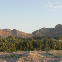 фото из отзыва ID 994558