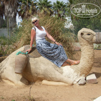 фото из отзыва ID 994760