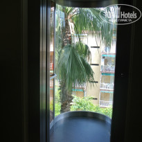 фото из отзыва ID 994844