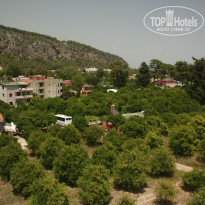 фото из отзыва ID 994606