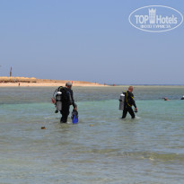 фото из отзыва ID 994038