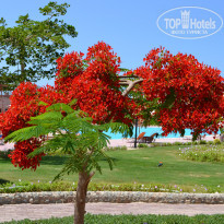 фото из отзыва ID 994062