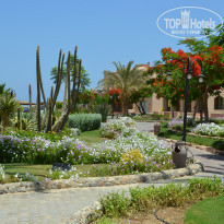 фото из отзыва ID 994062