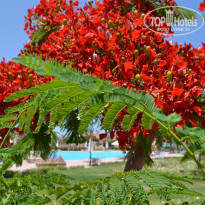 фото из отзыва ID 994062